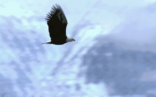 基础化工行业周报：化工上市公司半年报密集公布关注反内卷和AI投资机会